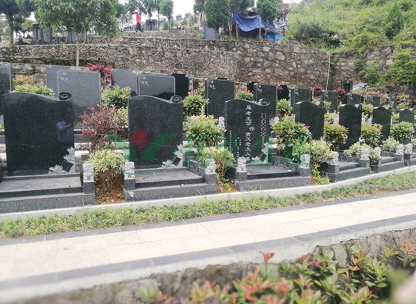 1-22020Q41522P6 J9国际集团(中国)-官方网站