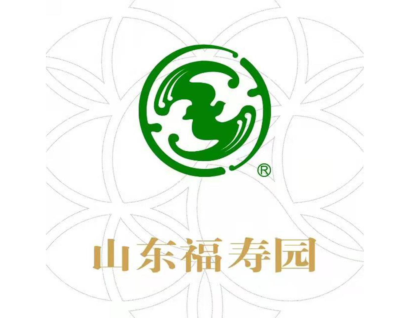 1-21121Q3231E50 J9国际集团(中国)-官方网站