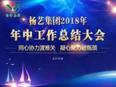 J9国际集团集团2018年中总结报告（摘要）