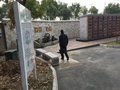 以心为笔，绘就可落地的生命花园